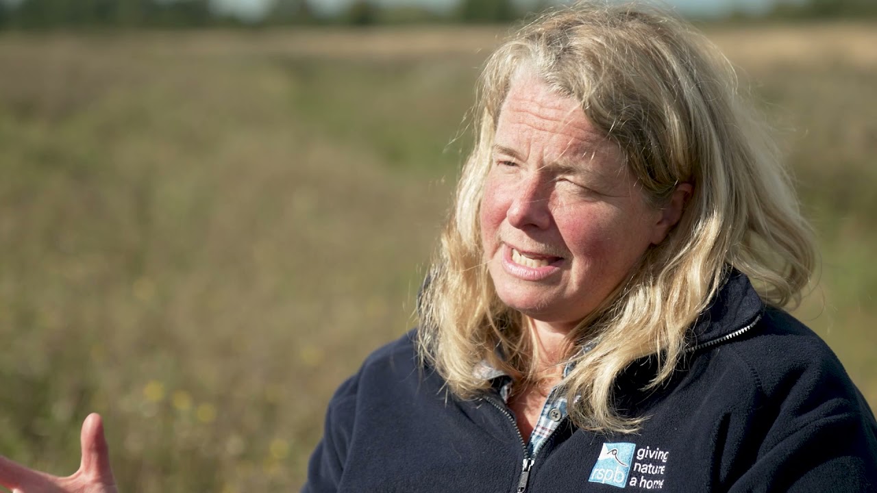 SAD NEWS: Beccy Speight, CEO of the Royal Society for the Protection of Birds, Passes Away at 78…