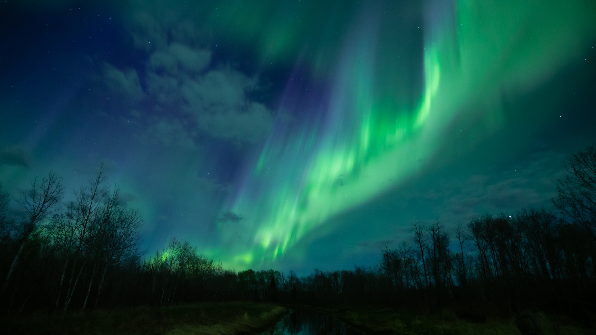 Watch the Celestial Dance: Ten U.S. states may be illuminated by tonight’s Northern Lights.