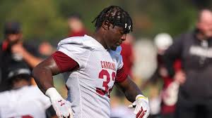 Veteran Gamecock Linebacker Enters Transfer Portal: A Shift for South Carolina Football