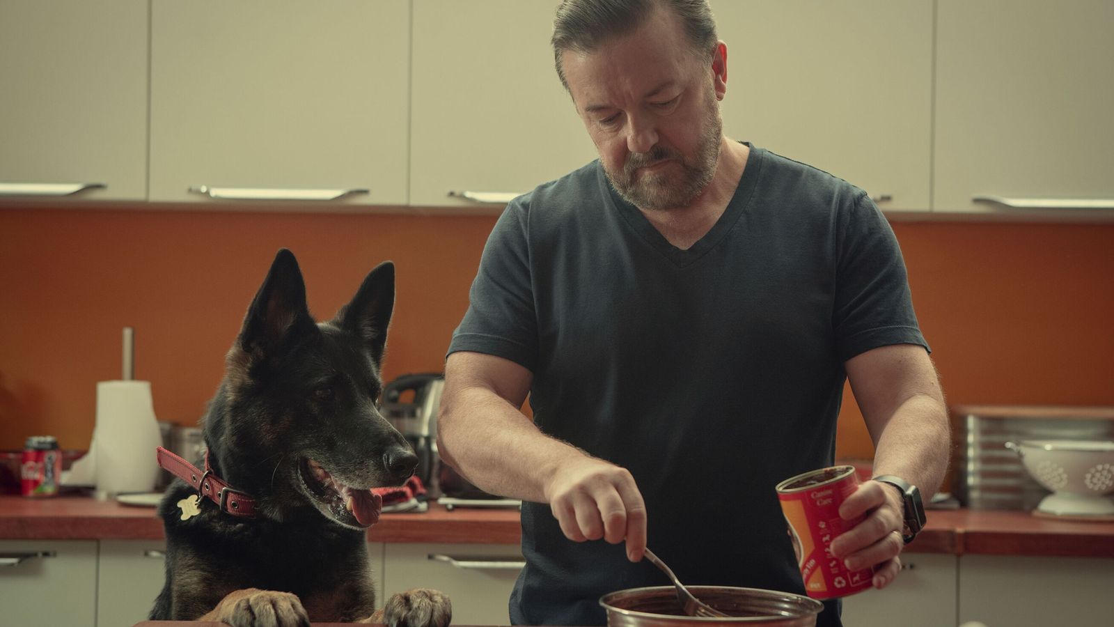 Breaking News: Ricky Gervais pays tribute to After Life dog after canine co-star’s death…
