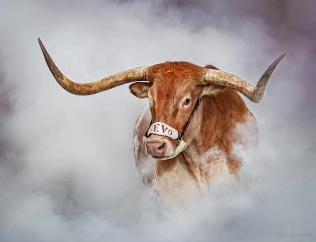 Hook’Em Horns! We’re the Last SEC team left! Let’s go out there and represent our conference, but most of all let’s go out and show them NO one messes with Texas…….