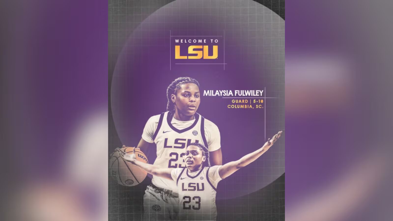 Former South Carolina Gamecock dynamic guard officially signed with LSU Tigers