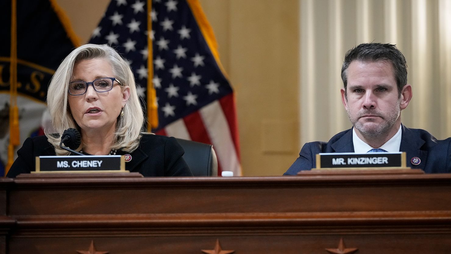 NEWS:Liz Cheney/Adam Kinzinger Against Trump