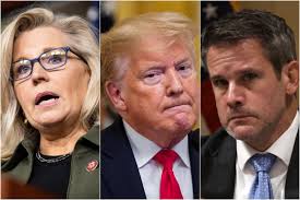 BREAKIN NEWS:Liz Cheney/Adam Kinzinger Against Trump: HAS DECIDED TO GO AGAINST DONALD TRUMP’S RULES AND HAS DECIDED TO BRONG DONALD TRUP DOWN FROM THE POWER OF THE PRESIDEN BEFOR THE….. RED MOER